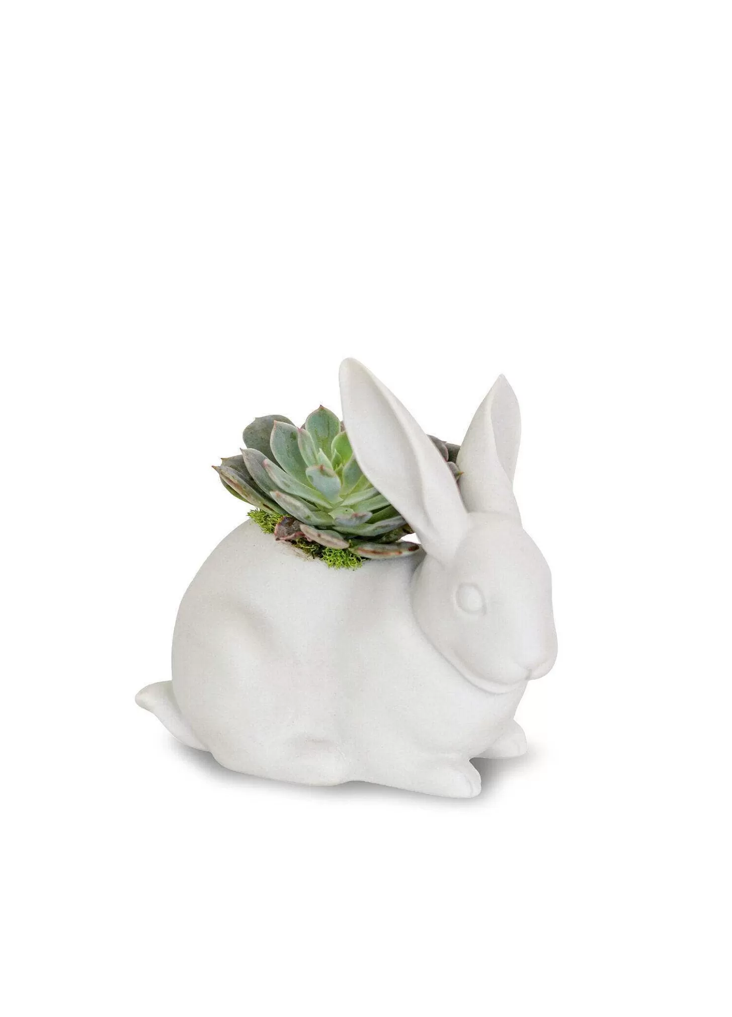 Lladró Bunny Garden Figurine. Matte White. Plant The Future^ Design